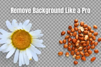 Best AI Tool For Background Removable